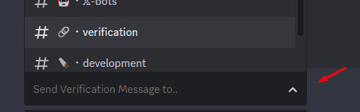 The /verification command - Sending verification message