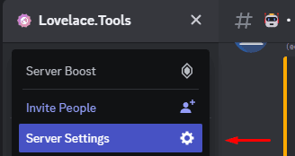 Opening your Discord Server Settings